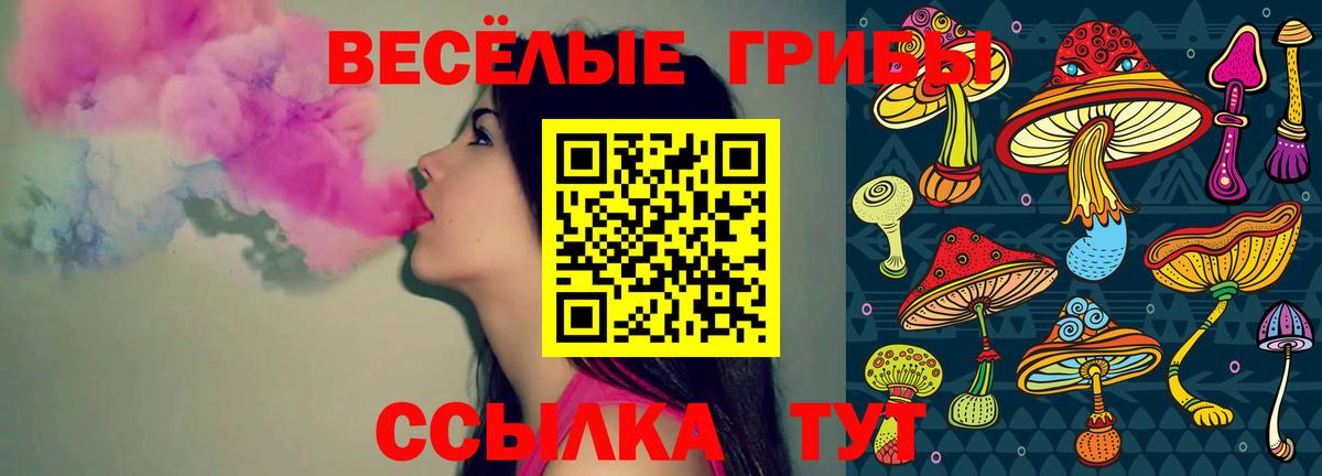 Карталы  Псилоцибиновые грибы мухоморы  Вход с VPN 